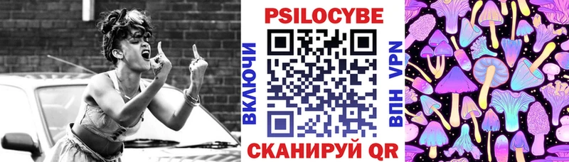 Псилоцибиновые грибы GOLDEN TEACHER Москва