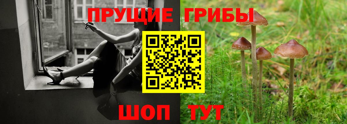 Псилоцибиновые грибы мицелий Россия